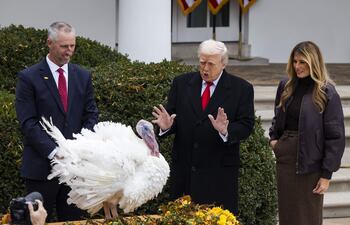 El presidente de Estados Unidos, Donald Trump (C) junto a su esposa, Melania Trump (d) observan a un pavo en el jardín de las rosas de la Casa Blanca.