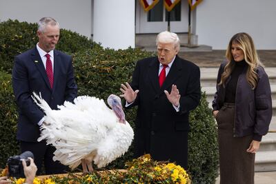 El presidente de Estados Unidos, Donald Trump (C) junto a su esposa,  Melania Trump (d) observan a un pavo en el jardín de las rosas de la Casa Blanca.