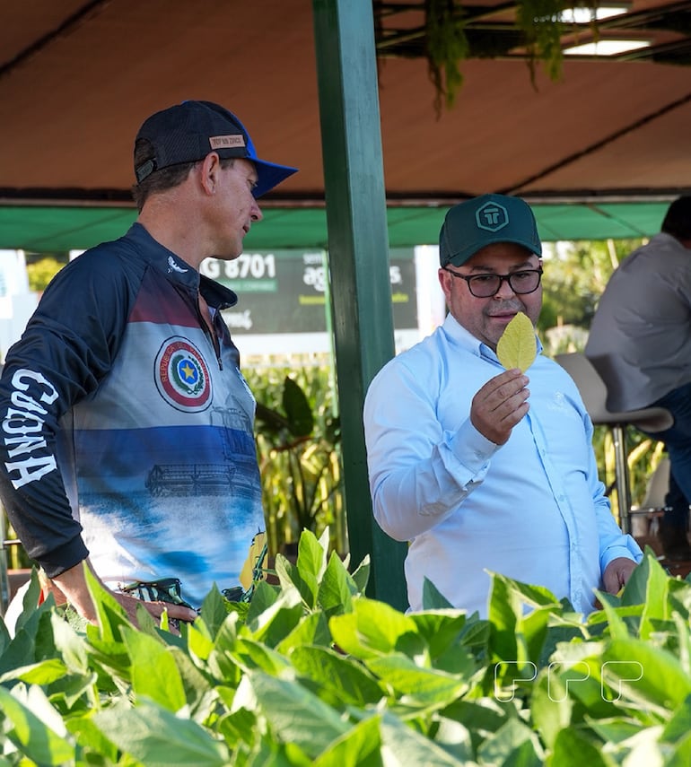 Tecnomyl cuenta con tecnología, experiencia y un equipo que acompaña de cerca para ayudar a producir de forma simple y efectiva.