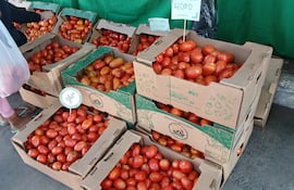Ofertan tomate a G. 4.000 en la Feria de la Agricultura Familiar del MAG.
