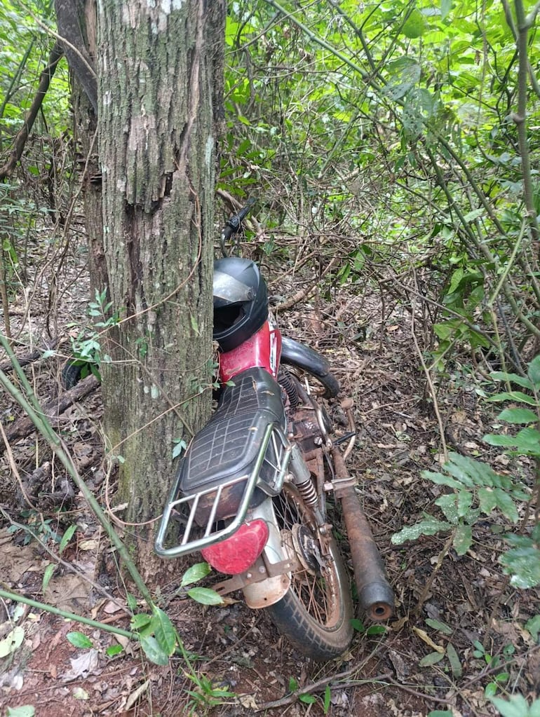 Motocicleta roja semioculta en vegetación densa, parcialmente encajada entre un tronco y arbustos, mostrando daños visibles.