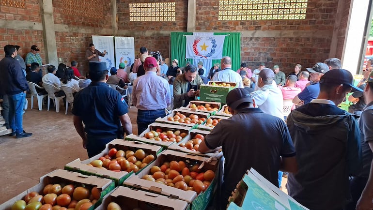 Carlos Giménez de pie con micrófono, rodeado de autoridades y productores, en ambiente informal con cajas de tomates al fondo.