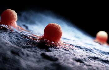 Célula cancerosa, imagen ilustrativa.