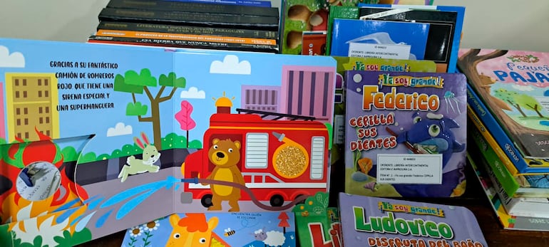 MEC pidió libros que costarán US$ 7,3 millones sin definir contenido pedagógico