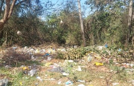 Hasta la fecha los pedidos no fueron atendidos por la Dirección de Medio Ambiente.