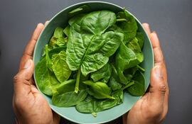 Plato con espinacas crudas.
