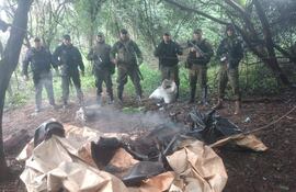 Fueron por abigeos y hallaron plantaciones de marihuana en Alto Verá.