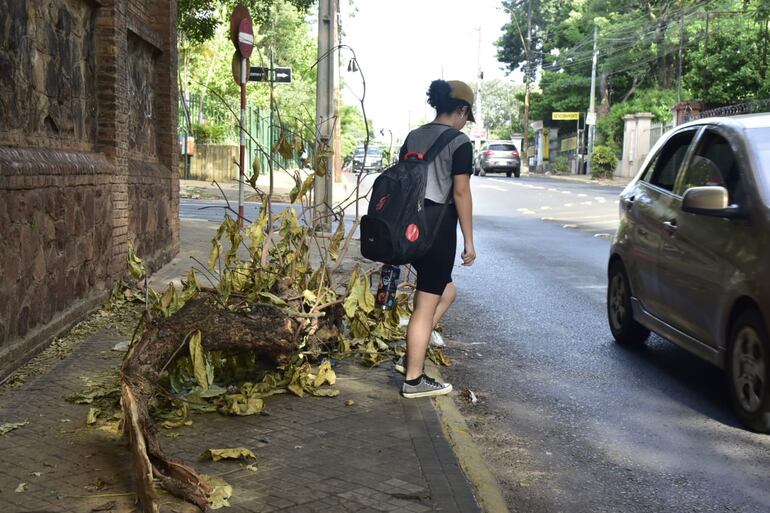 "Vi que algunas personas se bajan a la calle", asegura el denunciante.