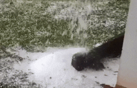 Intensa granizada azotó Mayor Otaño y causó daños en cultivos