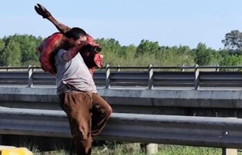 Tras accidente de tránsito en Argentina, pobladores faenan ganado.