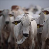 /pf/resources/images/abc-placeholder.png?d=2061