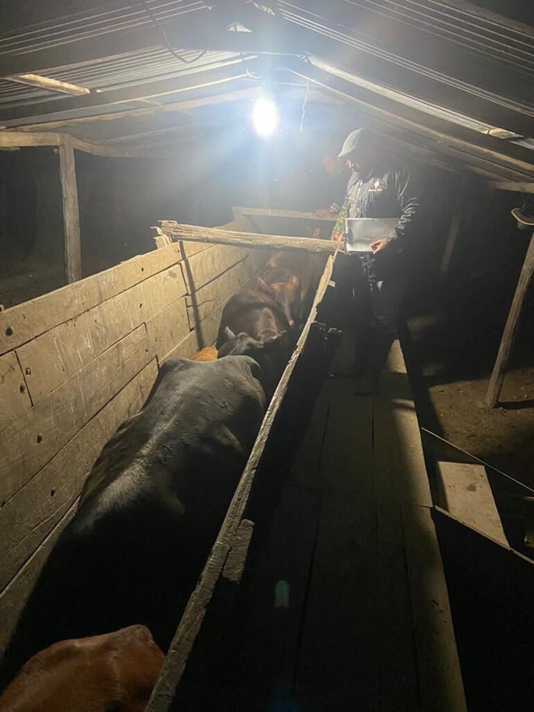 El agente fiscal Irán Suárez durante el allanamiento de una propiedad en la ciudad de Villa Hayes.