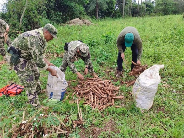 Riada obliga a rescatar y comercializar producción agrícola en Ayolas Riada obliga a rescatar y comercializar producción agrícola en Ayolas
