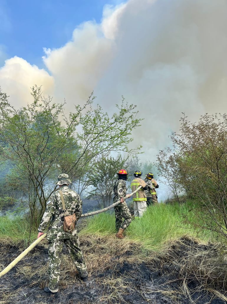 Militares de la 4° División de Infantería de Concepción combaten el fuego, en el predio de la estancia Santa Rita de la familia Denis, en Concepción.
