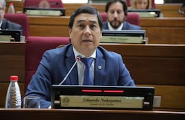 Eduardo Nakayama.