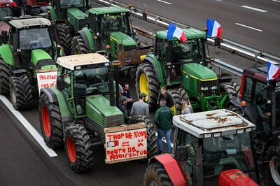 Francia no es el único país de la Unión Europea donde se registran  protestas. A unos cuatro meses de las elecciones al Parlamento Europeo, los  campesinos de Alemania, Rumanía y Polonia también han expresado su rechazo a  las normas ecológicas europeas y a la competencia “desleal” de productos  agrícolas importados.