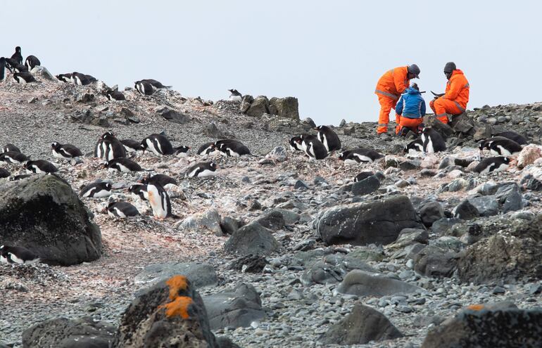 Investigadores toman muestras en una pingüinera, el 17 de diciembre de 2021, en la Isla Rey Jorge, situada en el territorio chileno antártico.