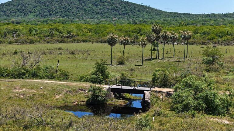 Buscan voluntarios para que sean embajadores del turismo.