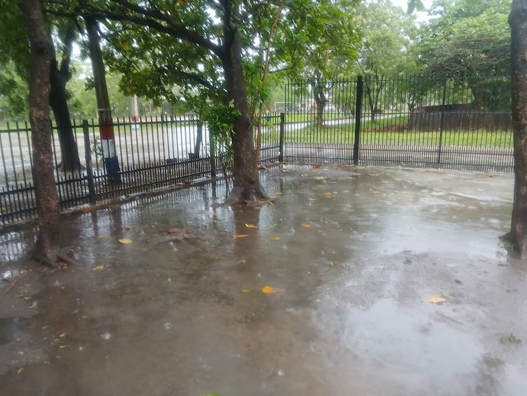 Espacio al aire libre con suelo mojado, rodeado de rejas y árboles, sin personas visibles.