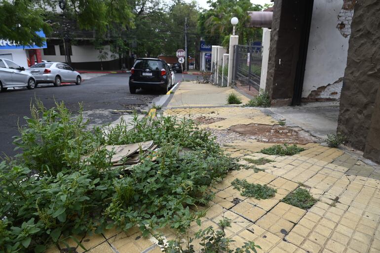 Yuyal en plena vereda del microcentro. Años sin fiscalización.