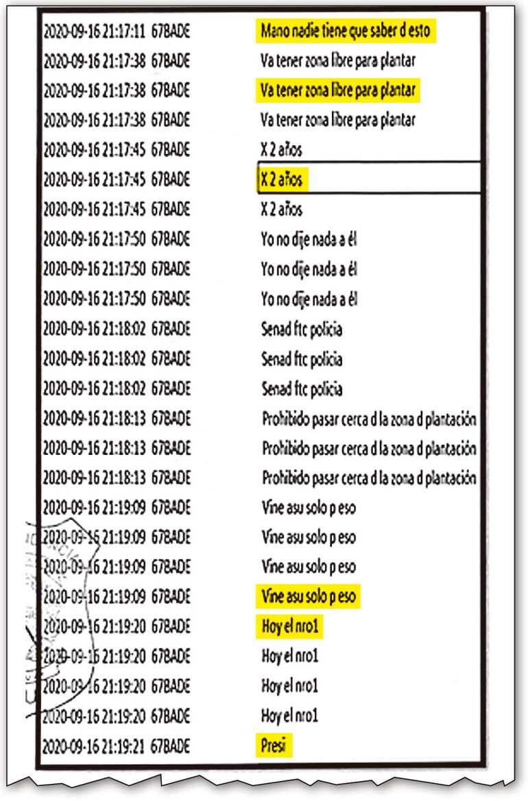 Rodrigues Gomes prometía una zona liberada para “plantar”.