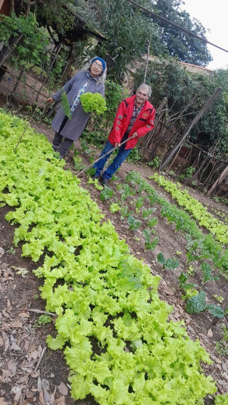 Pareja de productores trabajan en  la producción familiar desde hace 40 años en Panchito López.