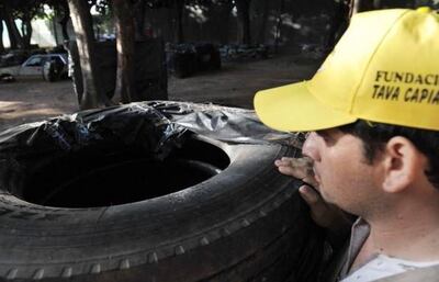 La destrucción de criaderos del Aedes aegypti sigue siendo la principal estrategia contra el dengue.