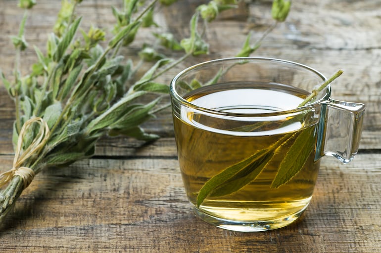 Infusión de salvia.