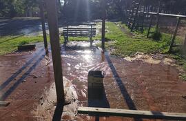 Lamentable situación del parque Carlos Antonio López de Asunción.