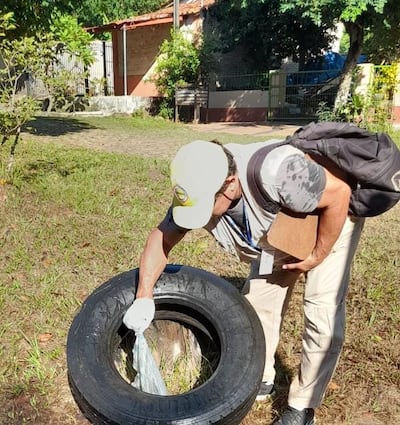 SENEPA intensifica los trabajos de limpieza y control vectorial en Caacupé y otras ciudades de Cordillera para frenar la propagación del dengue.