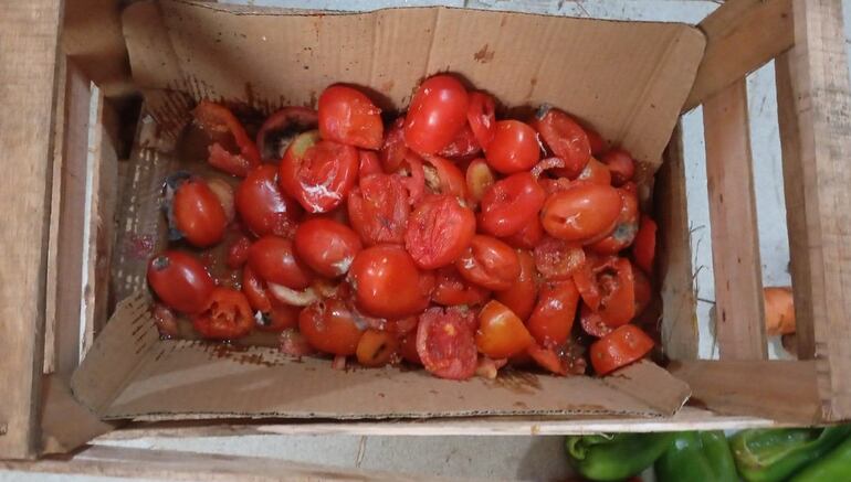 Tomates podridos llegaron a escuelas del Chaco, en el marco del programa Hambre Cero.