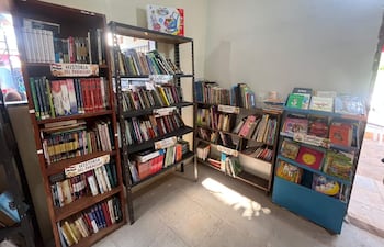 Estanterías llenas de libros sobre historia y educación en una biblioteca iluminada con paredes claras y suelo de cerámica.