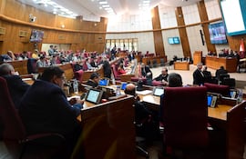Los diputados Adorno Mazacotte y Esgai Mansia en sesión legislativa, mostrando emociones tranquilas en un ambiente moderno y cerrado.