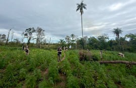 Seis personas en un campo verde, algunas trabajan, otras observan. Cielo nublado y vegetación variada rodean la escena.
