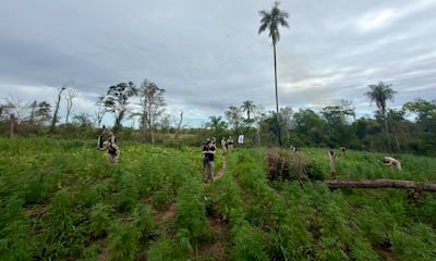 Seis personas en un campo verde, algunas trabajan, otras observan. Cielo nublado y vegetación variada rodean la escena.