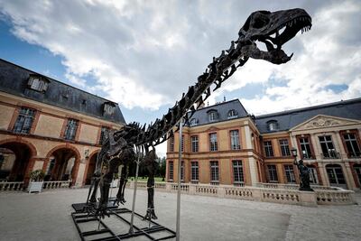 El esqueleto de dinosaurio Apatosaurus bautizado "Vulcain", expuesto frente al castillo Dampierre antes de una subasta que se realizará en Dampierre-en-Yvelines, al sur de París.