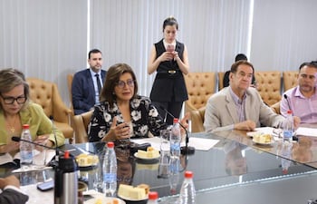 La senadora Blanca Ovelar (ANR, disidente) en reunión de mesa directiva del Senado pidió una reunión con técnicos del INE y del TSJE.