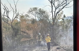 Incendio de gran magnitud en Reserva San Rafael