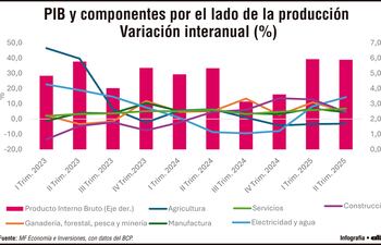 PIB Y COMPONENTES