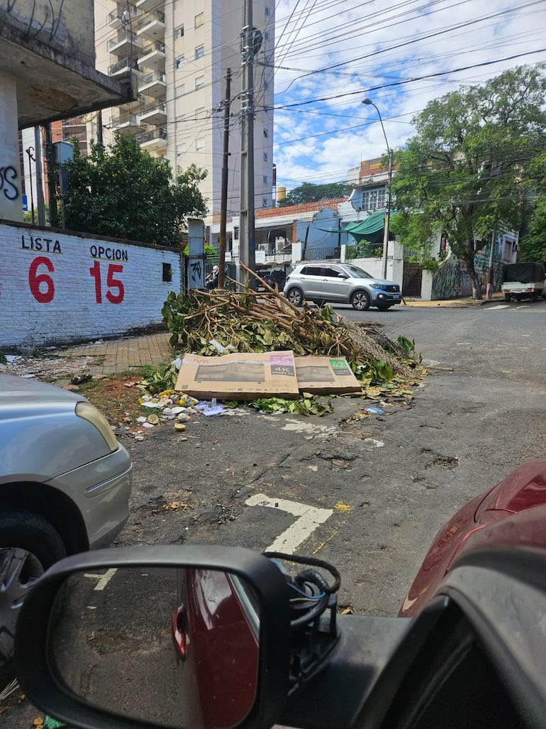 Montículo de ramas y basura en el pavimento, con automóviles estacionados y edificios de fondo.