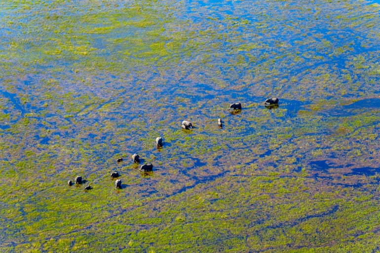 Okavango, Botsuana.