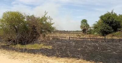Panorama desolador en Ñeembucú: miles de hectáreas de campos fueron reducidos a cenizas.