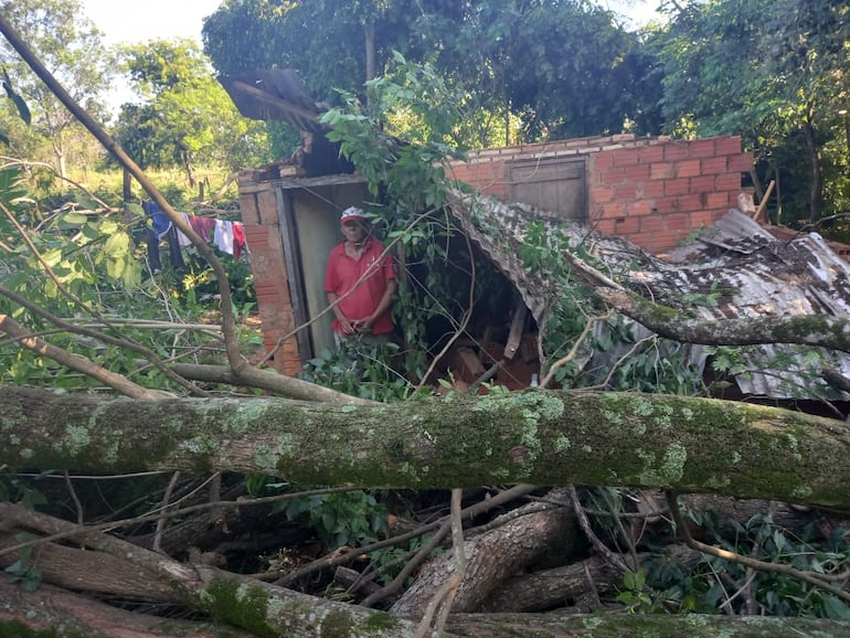 Esta vivienda fue dañada literalmente por un enorme árbol ubicado en el patio de la casa