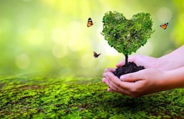El seguro agrícola gana protagonismo en nuestro país ante los riesgos climáticos.