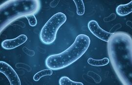 Microbioma.