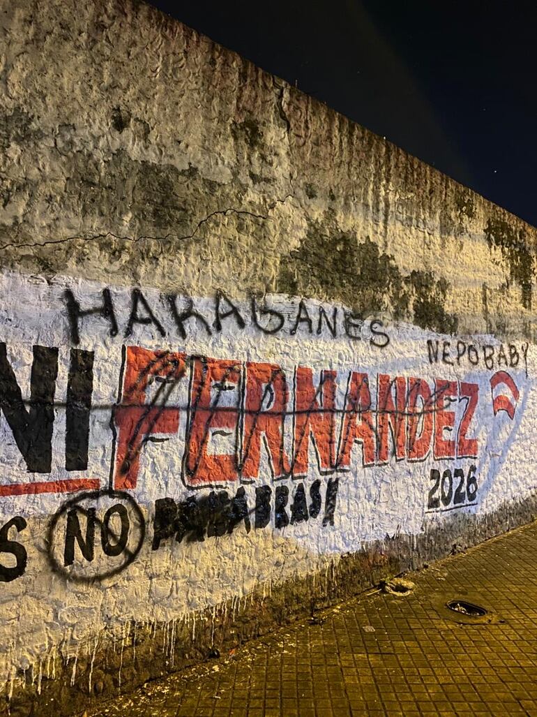 Campaña contra la “contaminación visual” de propaganda política.