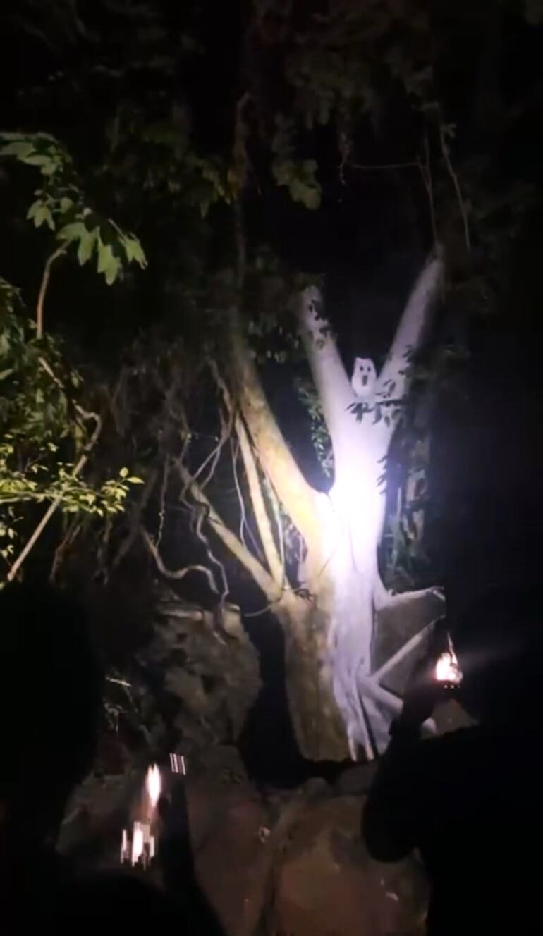 Antes de llegar al museo Tava Yaguarú, los turistas recorrieron el sendero Malavisión.