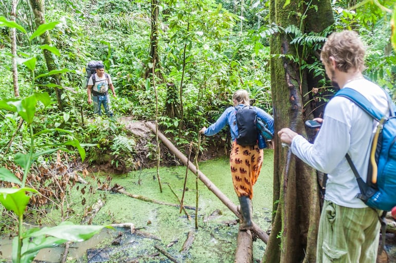 Parque Nacional Madidi, amazonía boliviana.