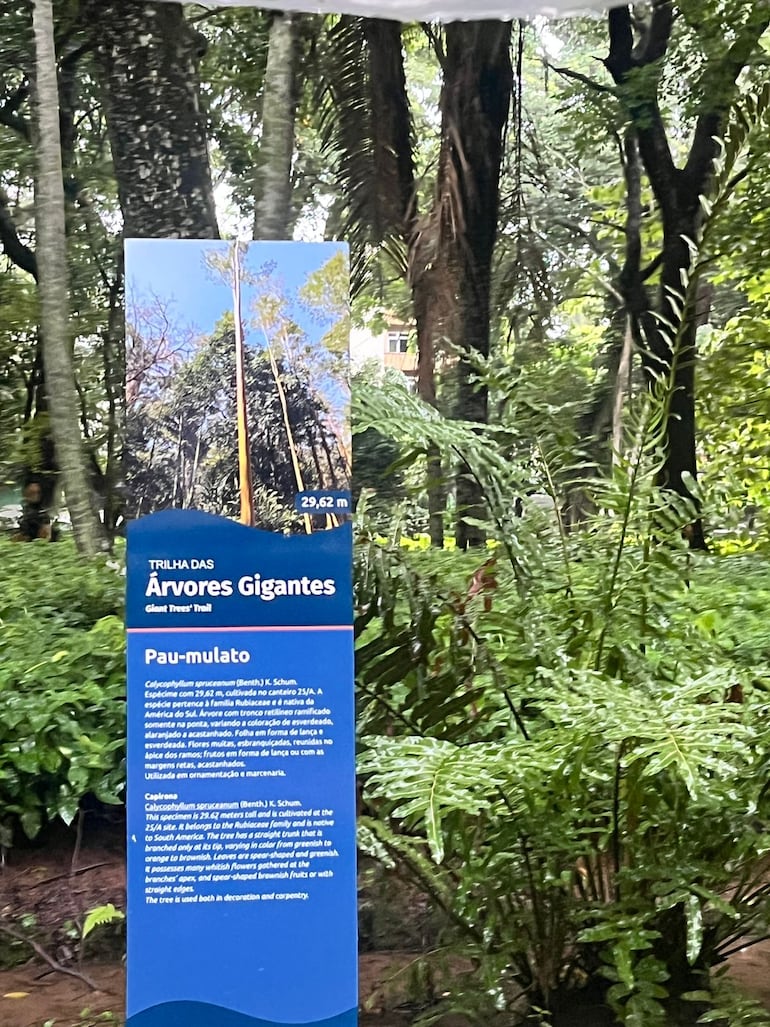 Jardín Botánico de Río de Janeiro, Brasil.