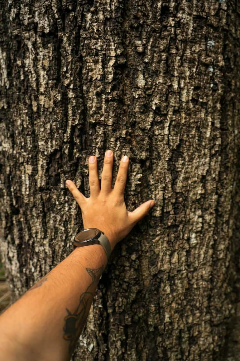 Mano de piel clara toca un árbol con corteza rugosa, reloj oscuro en la muñeca, rodeada de vegetación verde.
